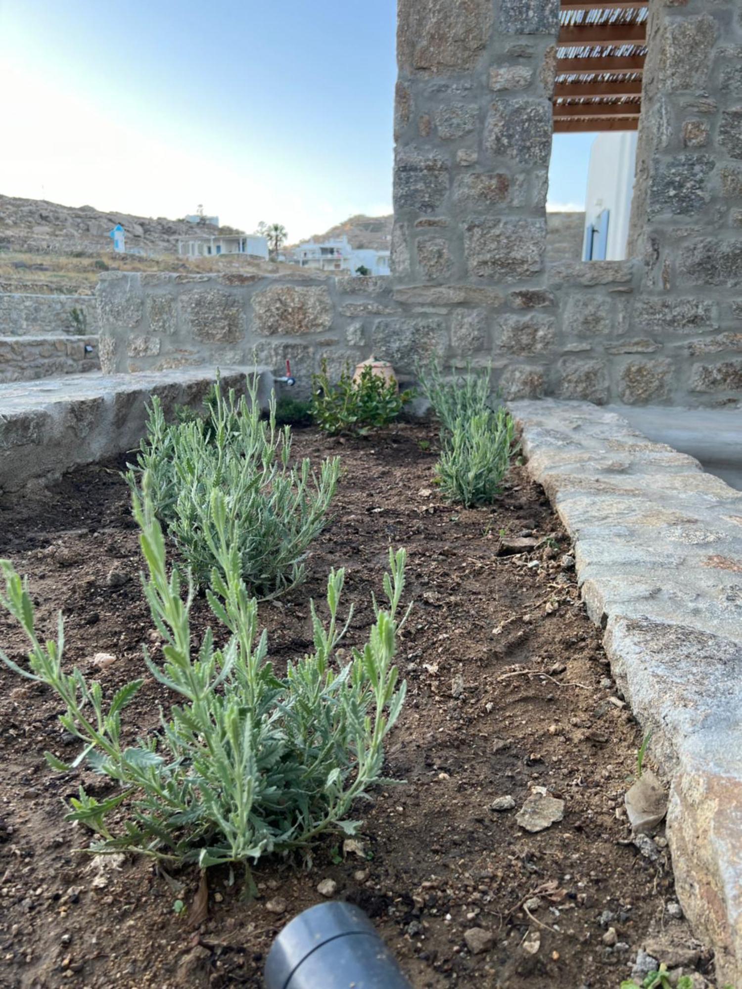 Miamis Villas Mykonos II Mykonos Town Dış mekan fotoğraf